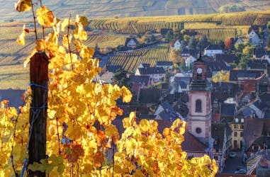 Tour de vino compartido de medio día por Alsacia desde Colmar